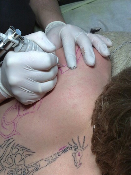 Platontattoo1: tattoo